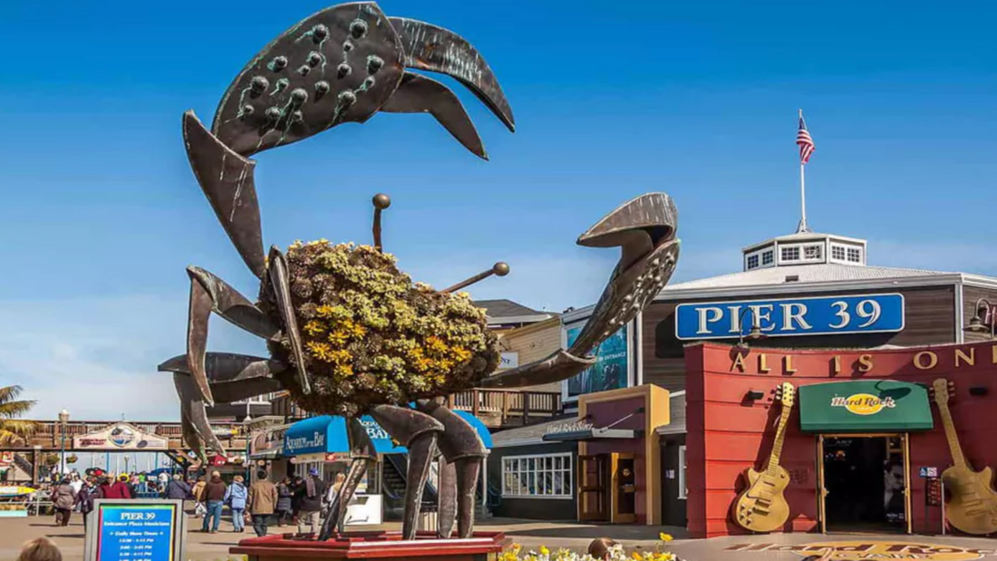 Family day out in Fisherman’s Wharf